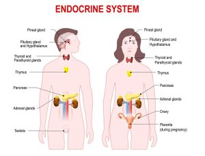 Endocrine Disorders